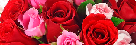 ginapsousa's profile banner image