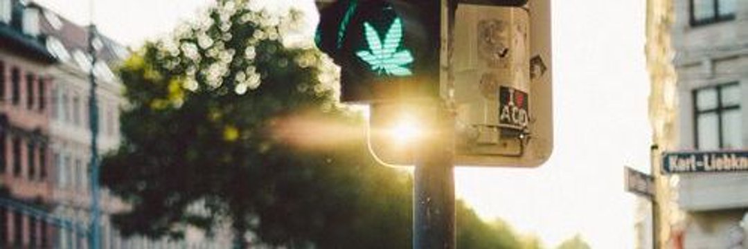 degustador de ervas naturais banner