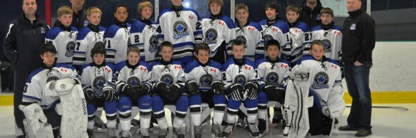 VanSelects Profile Banner