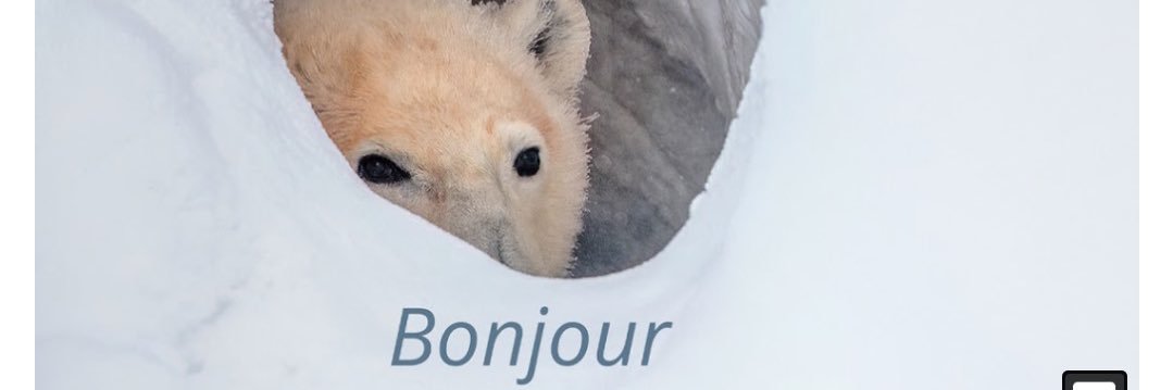 ramen noodle packet banner