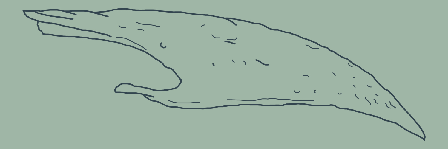 WorldObscured's profile banner image