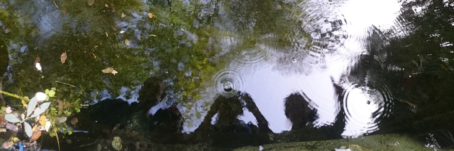 nptorres76's profile banner image