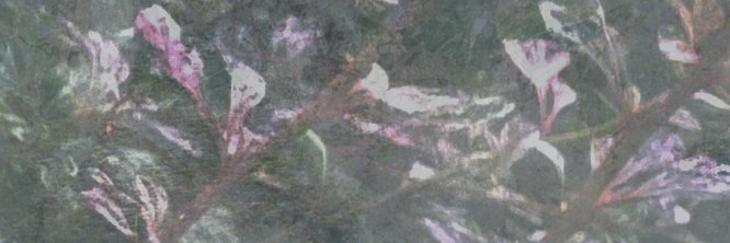 TreearmsGaming banner