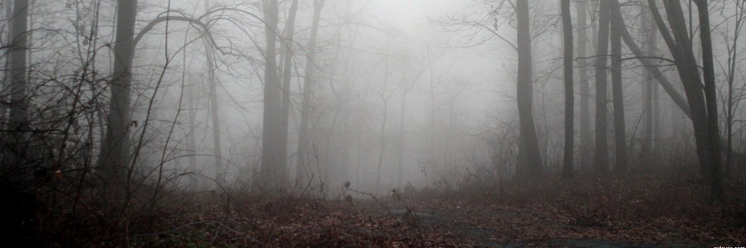 dexler666's profile banner image