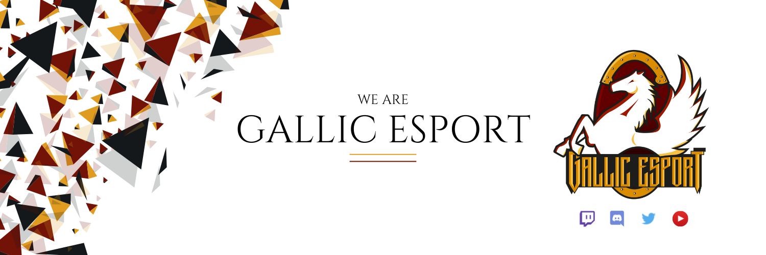 EsportGallic's profile banner image