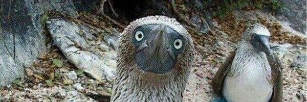 maialenarruiz Profile Banner