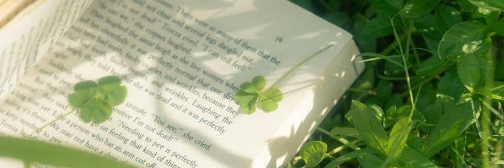 caro !! banner