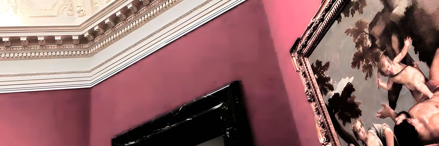 snblume9's profile banner image