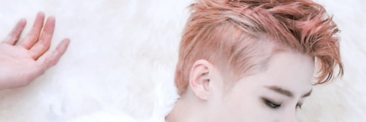 s_j_a's profile banner image