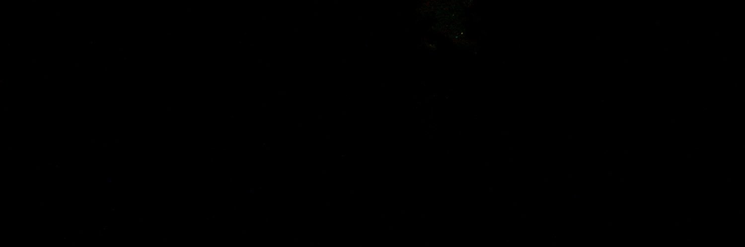 ur everyday ariana stan aka Lauren 🍉 banner