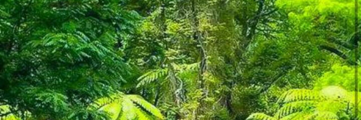 faridagher's profile banner image