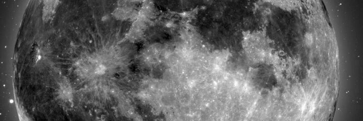✨Elahe✨'s banner