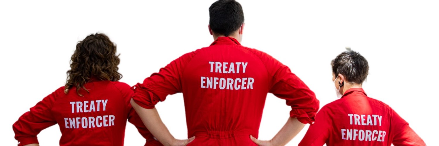 Reaching Critical Will banner