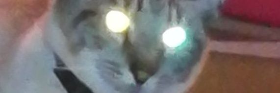 bootjevaren's profile banner image