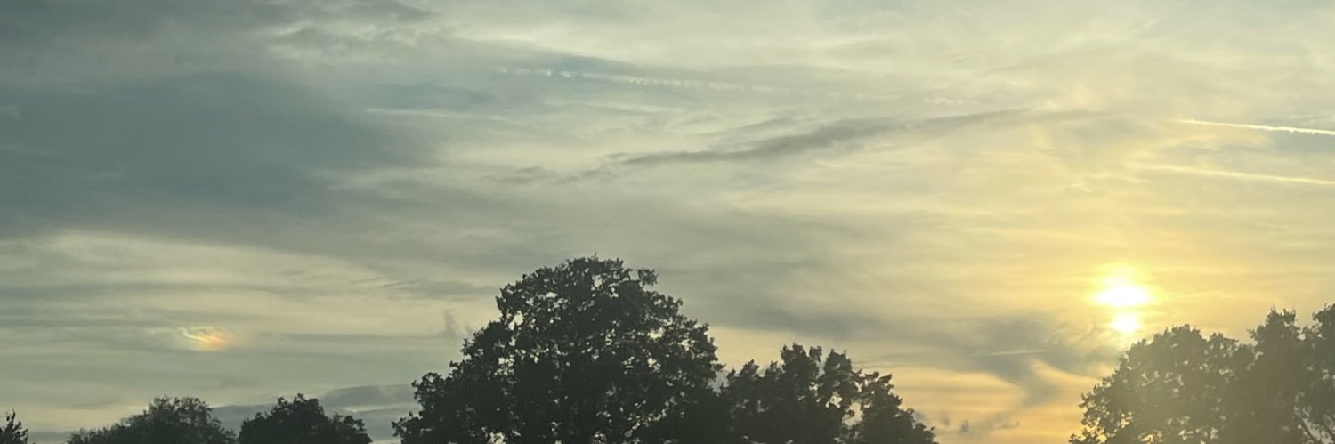 zoe_sgl's profile banner image