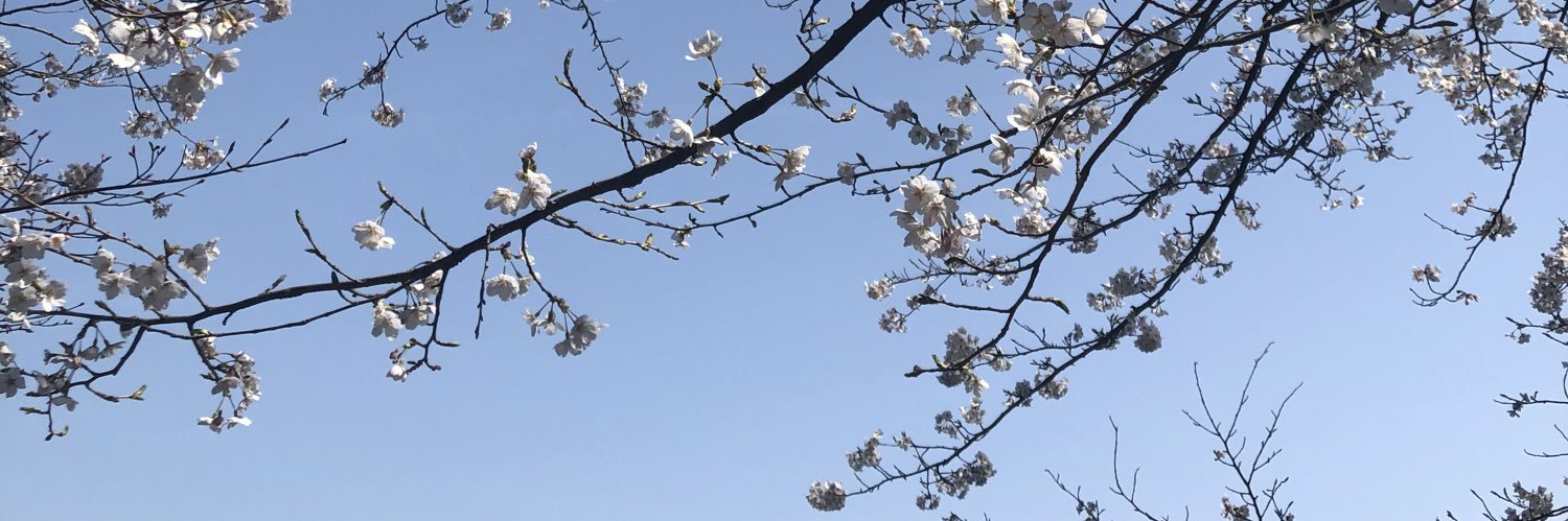eru_ka's profile banner image