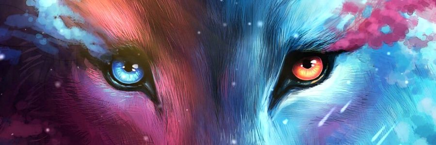 spon555's profile banner image
