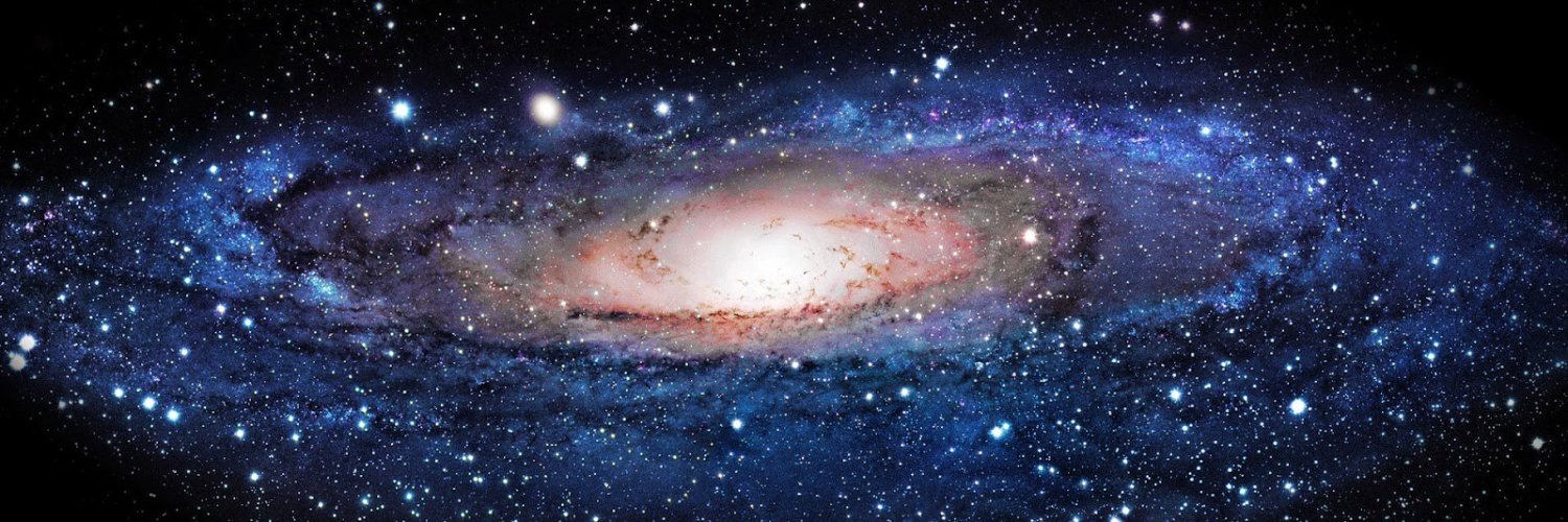 Nevena Musikic banner