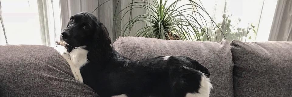 nadtv's profile banner image