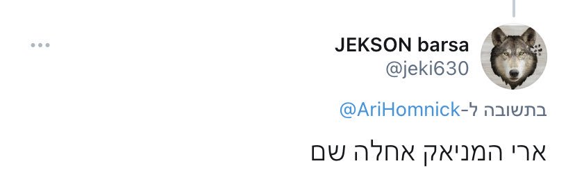 ארי המניק banner