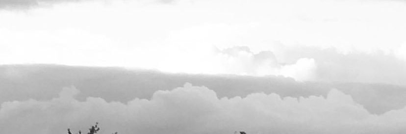 البندري العتيبي banner