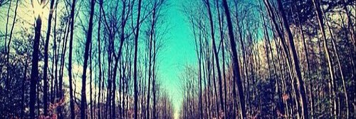 Kay_XOchillin's profile banner image