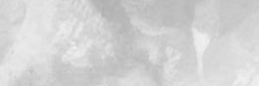 OC4L banner