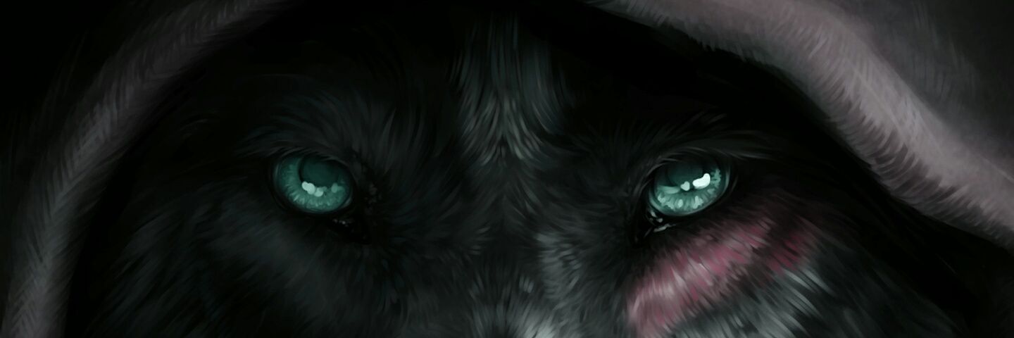 dayann09's profile banner image