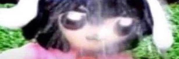 Catpip banner