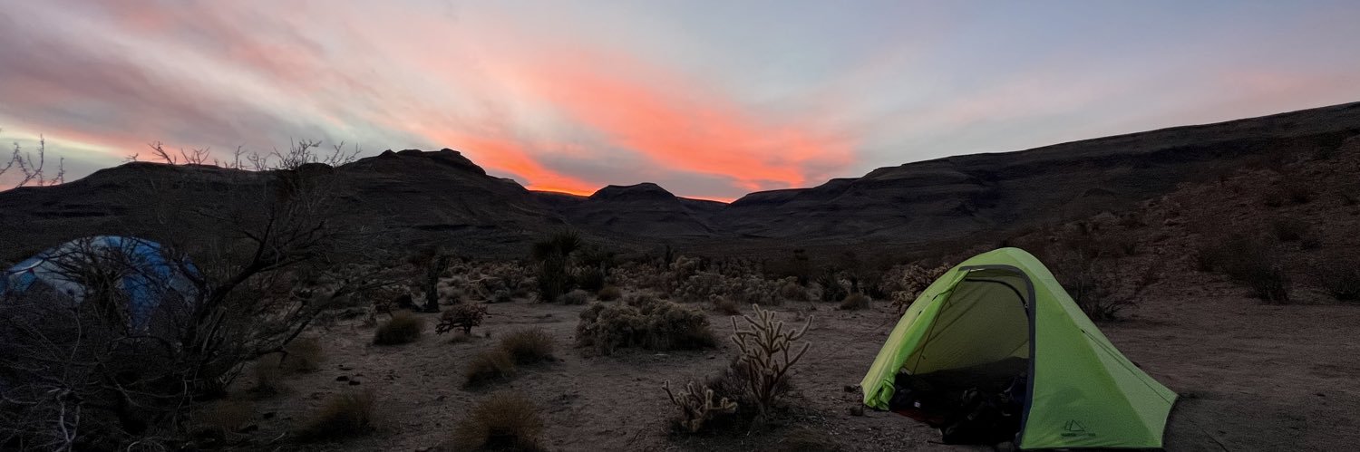 Theo LeQuesne banner