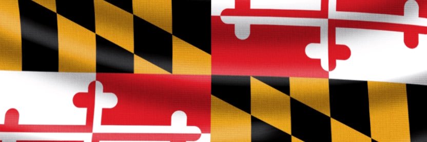 MoCo Hammer banner