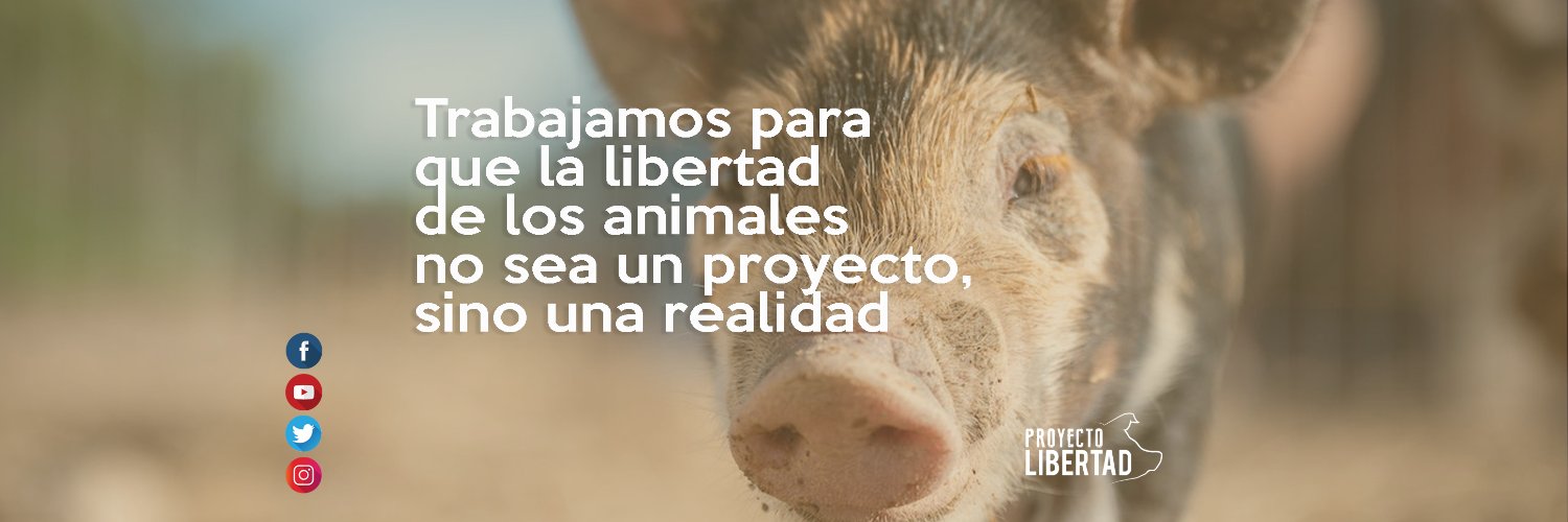 ProyectoLibertad banner
