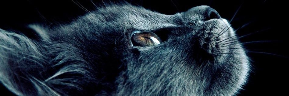 Zikrisandy's profile banner image