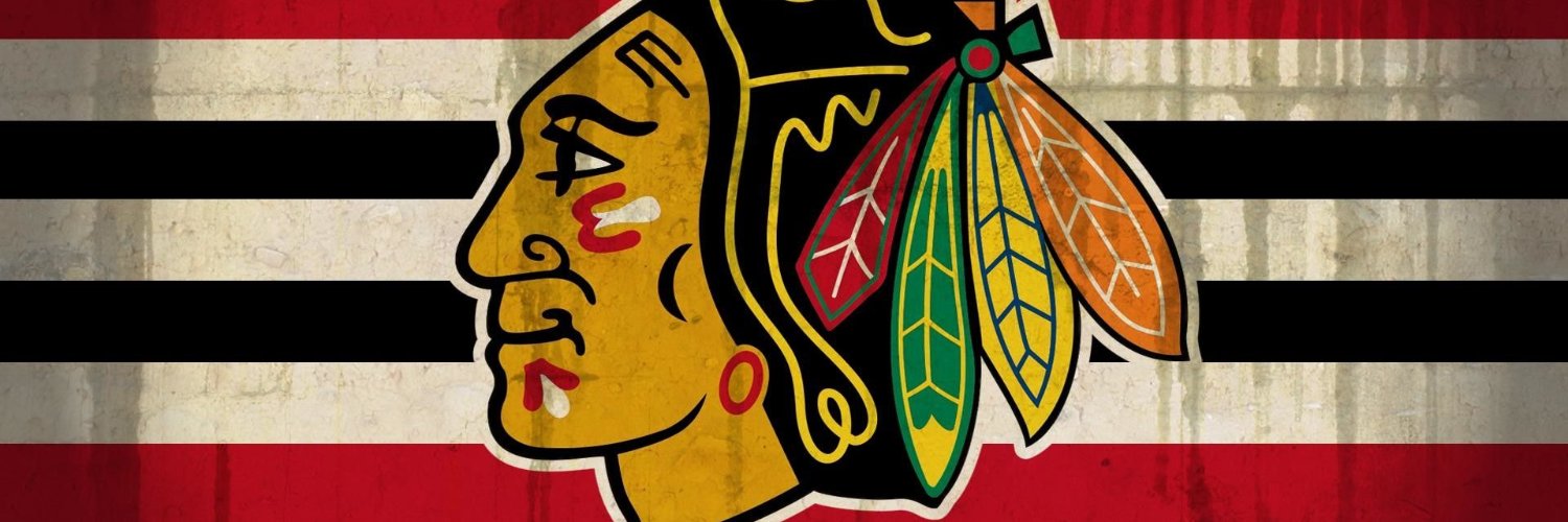 Chicago Blackhawks Bot banner
