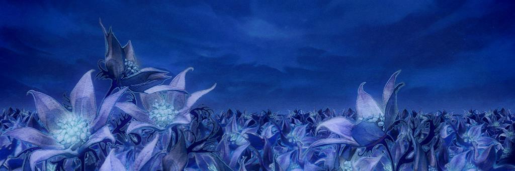 1chichi's profile banner image