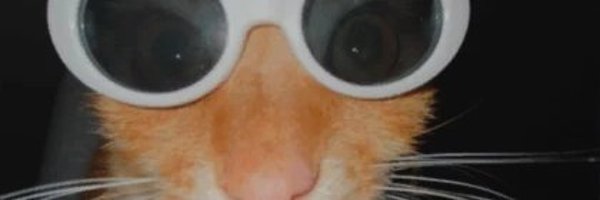 Pengoli1 Profile Banner