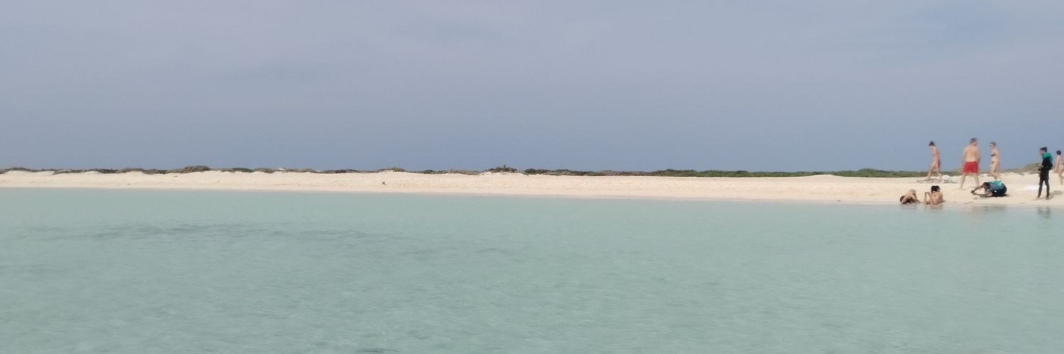 CarloFalcini's profile banner image