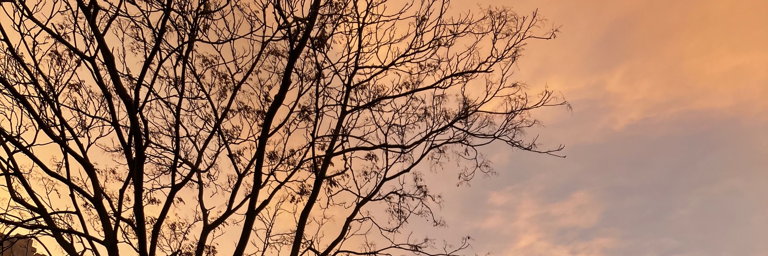 lealinux's profile banner image