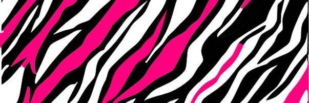 lsmgatorpr's profile banner image