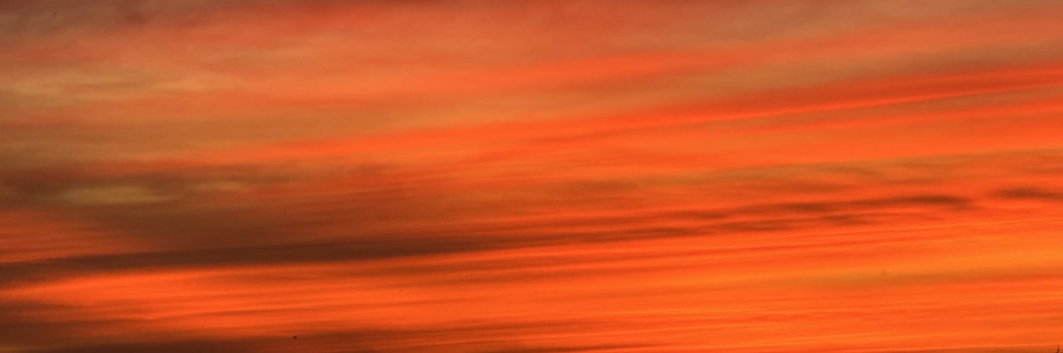 Liberal Tears Daily banner