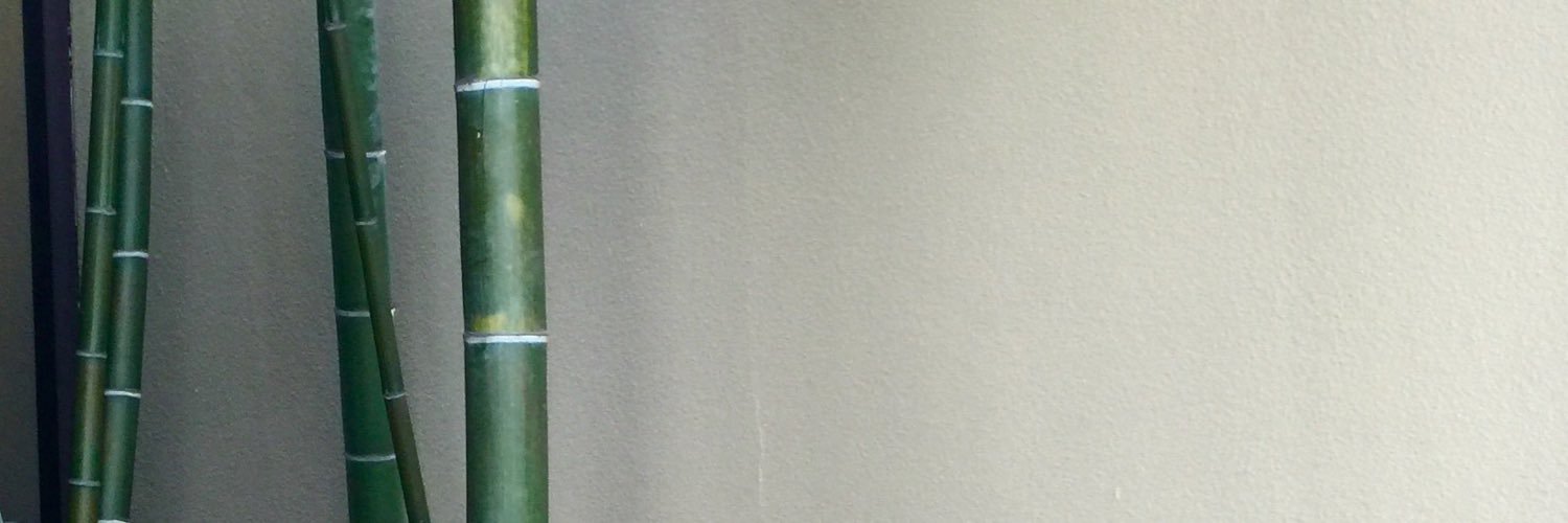 ale0313's profile banner image