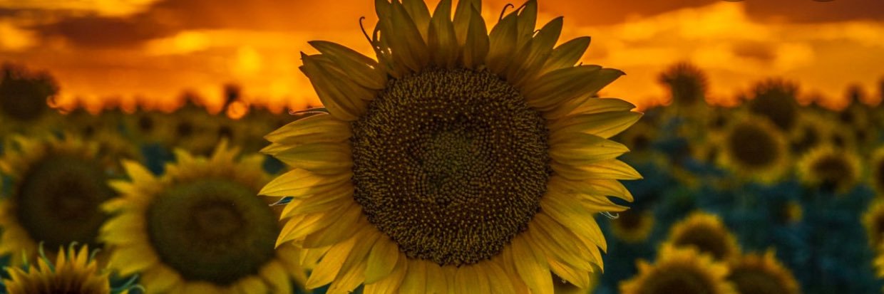 Kansasbitchh's profile banner image