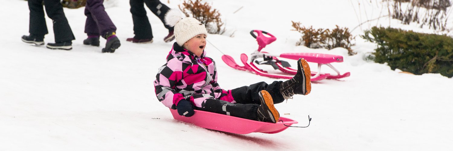 Emb. Finlandia Chile banner