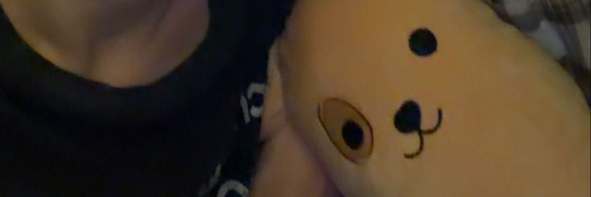 ˢˢˢʕ•ᴥ•ʔᵠ banner