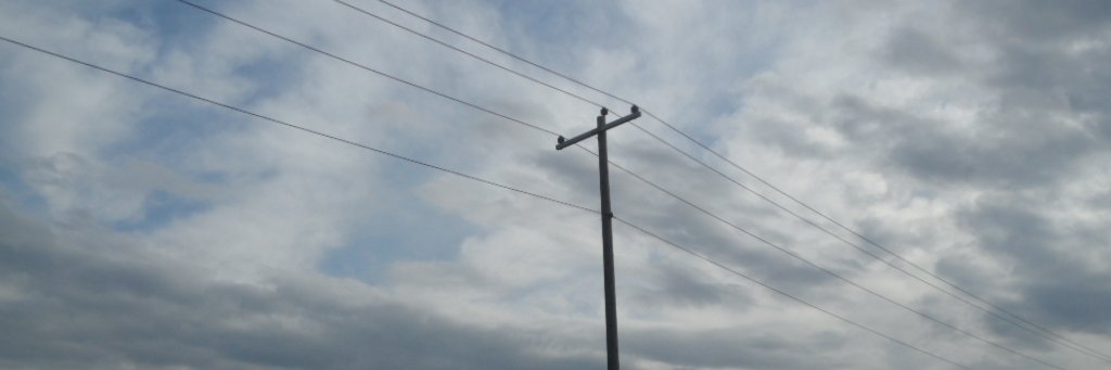 pzrpled's profile banner image