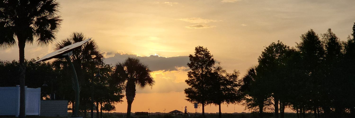Piojitarex's profile banner image