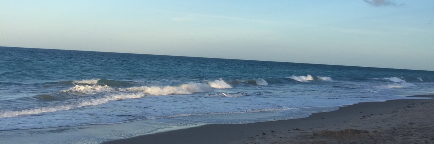 koganmandeea's profile banner image