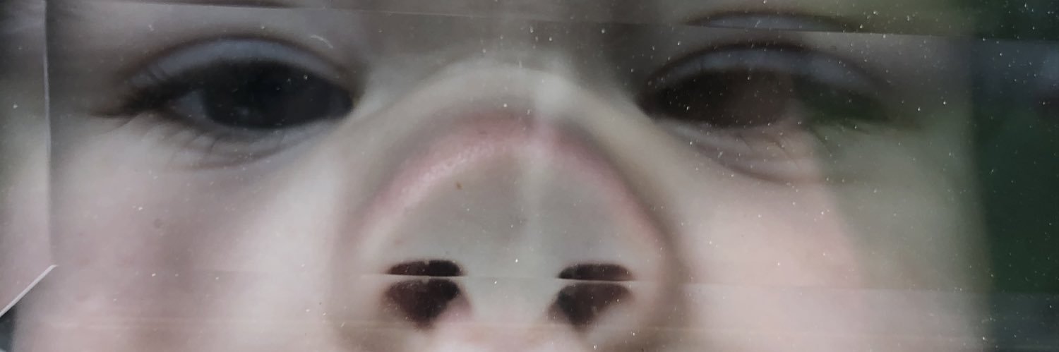 Brittalksshit's profile banner image