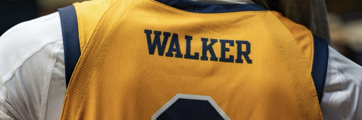 Lo Walker banner