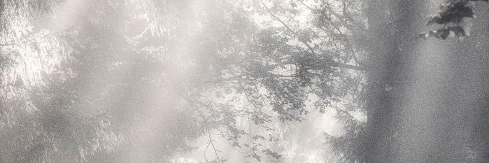 akagm01's profile banner image